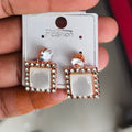 Earrings SE0013