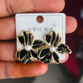 Earrings SE0048