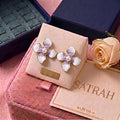 Earrings SE0055